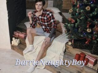 BarrieNaughtyBoy