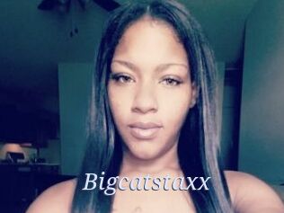 Bigcatstaxx