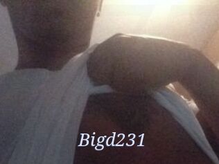 Bigd231