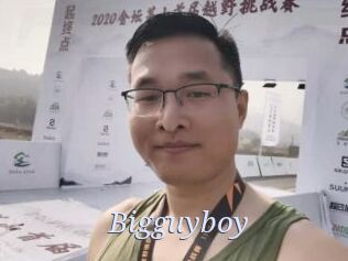 Bigguyboy