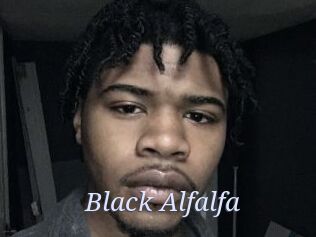 Black_Alfalfa