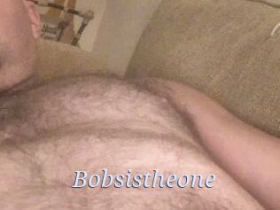 Bobsistheone