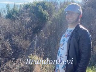 BrandonLevi