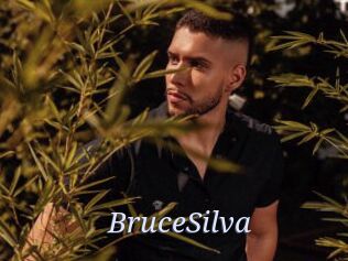 BruceSilva