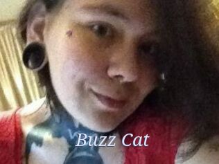 Buzz_Cat