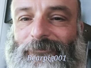 Bearpig001
