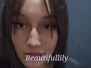 Beautifullily