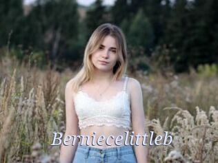 Berniecelittleb
