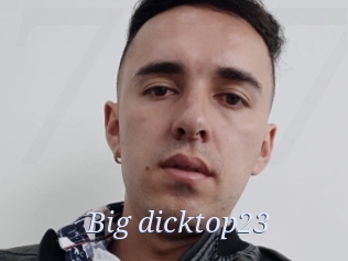 Big_dicktop23