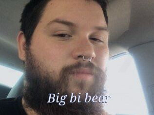 Big_bi_bear