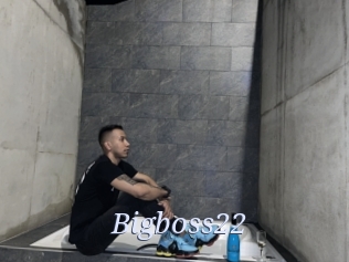 Bigboss22