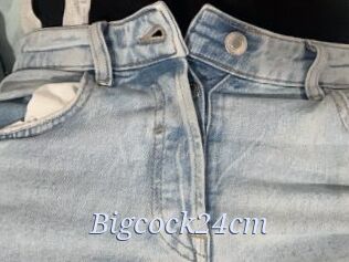 Bigcock24cm