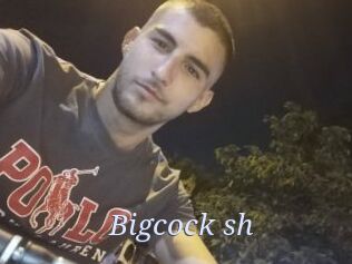 Bigcock_sh