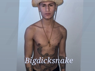 bigdicksnake 777 Erotik Chat