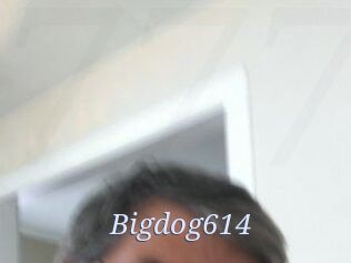 Bigdog614