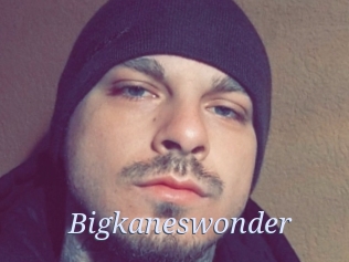 Bigkaneswonder