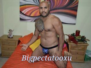 Bigpectatooxu