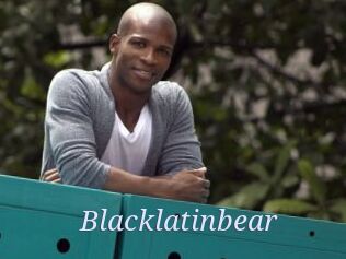 Blacklatinbear