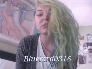 Bluebird0316