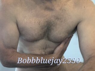 Bobbbluejay2530