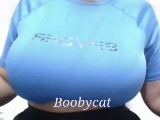 Boobycat