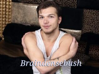 Braindensebush