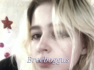 Breeboggus