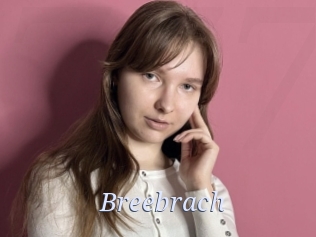 Breebrach