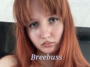 Breebuss