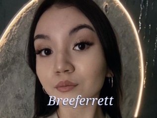 Breeferrett
