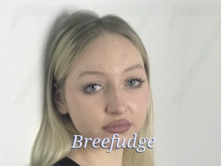 Breefudge