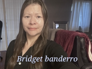 Bridget_banderro