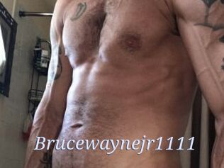 Brucewaynejr1111