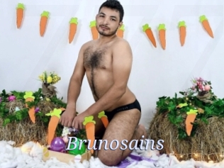 brunosains 777 Erotik Chat