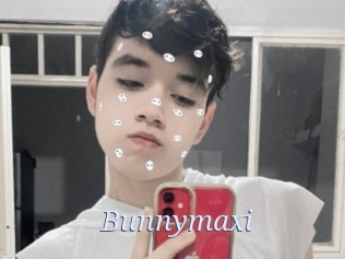 Bunnymaxi