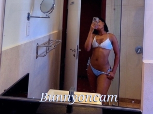 Bunnyoncam