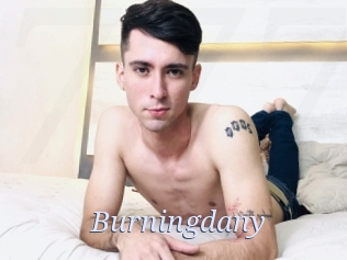 Burningdany