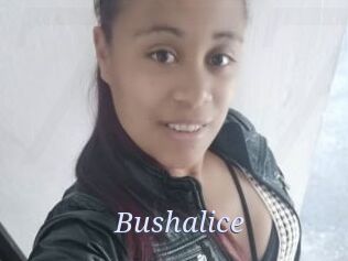 Bushalice