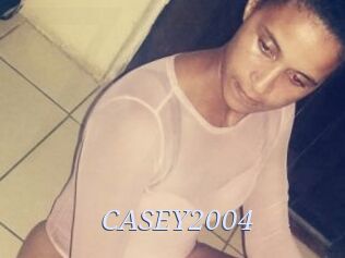 CASEY2004