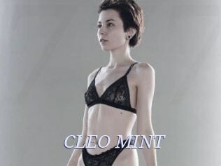 CLEO_MINT