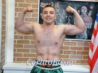 CarlitoBoxer