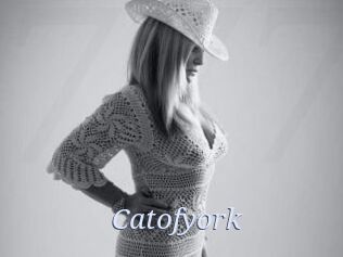 Catofyork