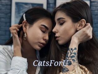 CatsForU
