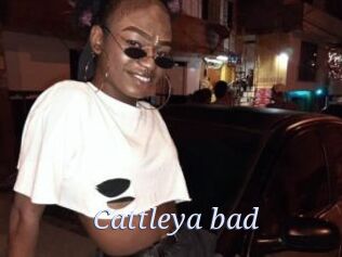 Cattleya_bad