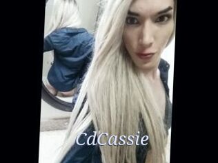 CdCassie 777 Erotik Chat