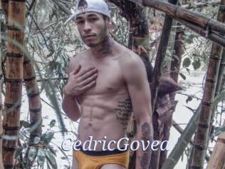 CedricGovea