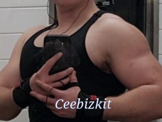 Ceebizkit
