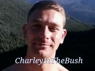 CharleyInTheBush