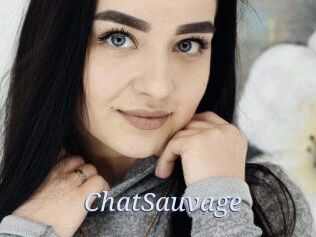 ChatSauvage