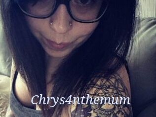 Chrys4nthemum